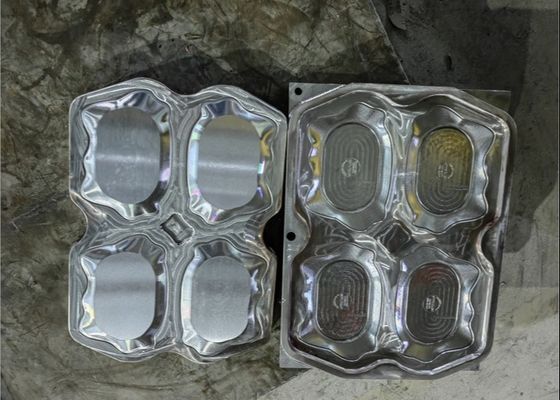 গৃহস্থালী যন্ত্রপাতি মেলামাইন টেবিলওয়্যার ছাঁচ একক গহ্বর / একাধিক গহ্বর