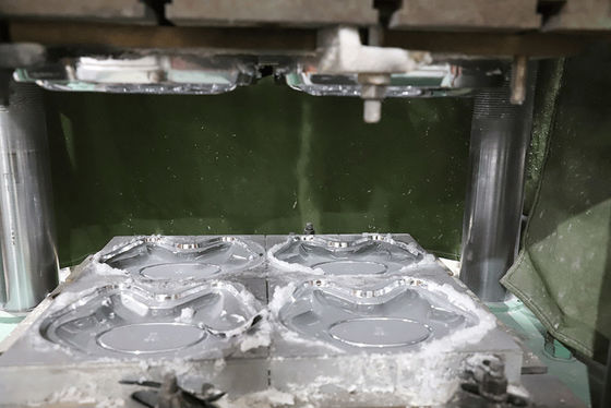 কাস্টমাইজেবল মেলামাইন টেবিলওয়্যার ছাঁচ একক গহ্বর একাধিক গহ্বর গঠন ডাই