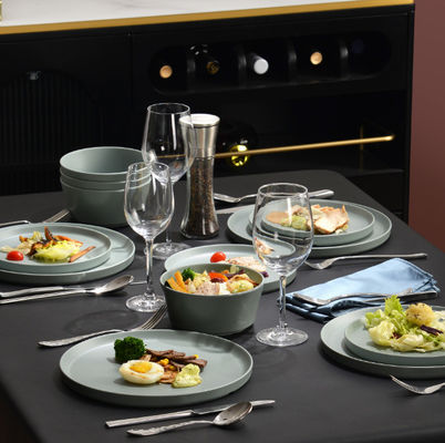 অবিচ্ছিন্ন মেলামাইন টেবিলওয়্যার সেট ডিশওয়াশার নিরাপদ বিপিএ মুক্ত স্যালজি