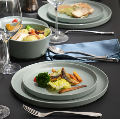 অবিচ্ছিন্ন মেলামাইন টেবিলওয়্যার সেট ডিশওয়াশার নিরাপদ বিপিএ মুক্ত স্যালজি