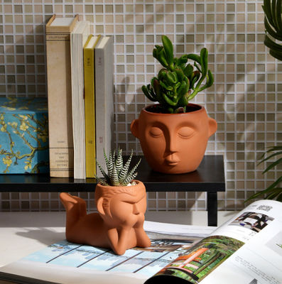 ইনডোর ছোট টেরাকোটা উদ্ভিদ পাত্র দাগ প্রতিরোধের