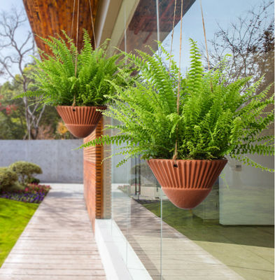 ইনডোর প্ল্যান্টের জন্য হ্যাংিং প্ল্যান্টার, টেরাকোটা হ্যাংিং প্ল্যান্টার, সিরামিক হ্যাংিং প্ল্যান্ট পাত্র, হ্যাংিং বাস্কেট, হ্যাংিং প্ল্যান্টার