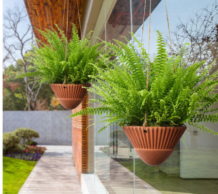 ঝুলন্ত গ্রামীণ জামা কাপড়ের ভাঁজ প্রতিরোধী